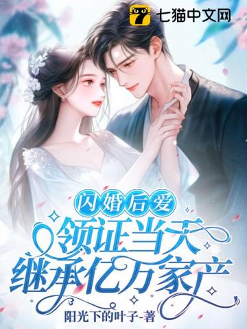 小说闪婚之后完整版