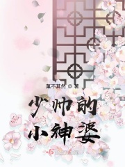 少帅的小神婆小说