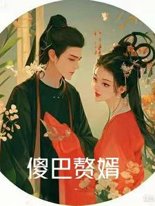 傻婿全文阅读