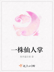 一株仙人掌花发