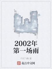 2002年的第一场雪叫什么歌名