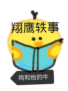 翔鹰是什么意思