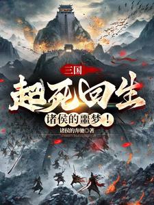 三国起立 小说