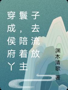 穿越侯府丫鬟玲珑