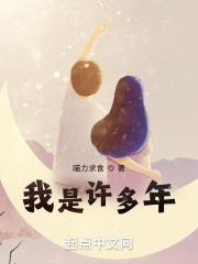 四合院之我是许多年多少字