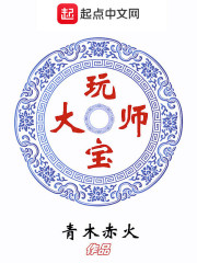 玩宝大师百度网盘