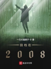 回档在2008